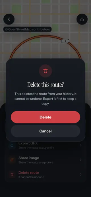 A Delete this route dialog warning it cannot be undone, with a red Delete button